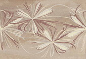 Декор Azori 20,1*50,5 Sonnet Beige Flower